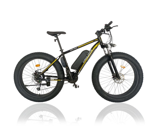 fat tire electric bike FOR SALE IN CANADA