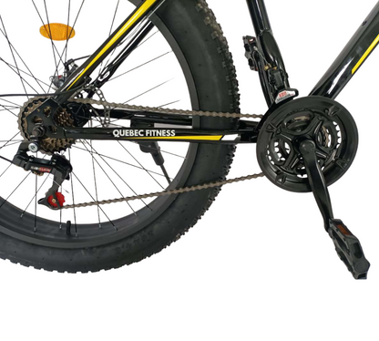 Fat Tire Bike