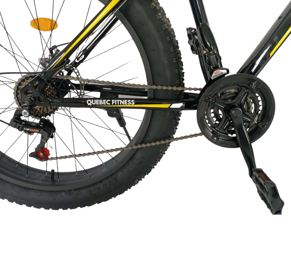 fat bike