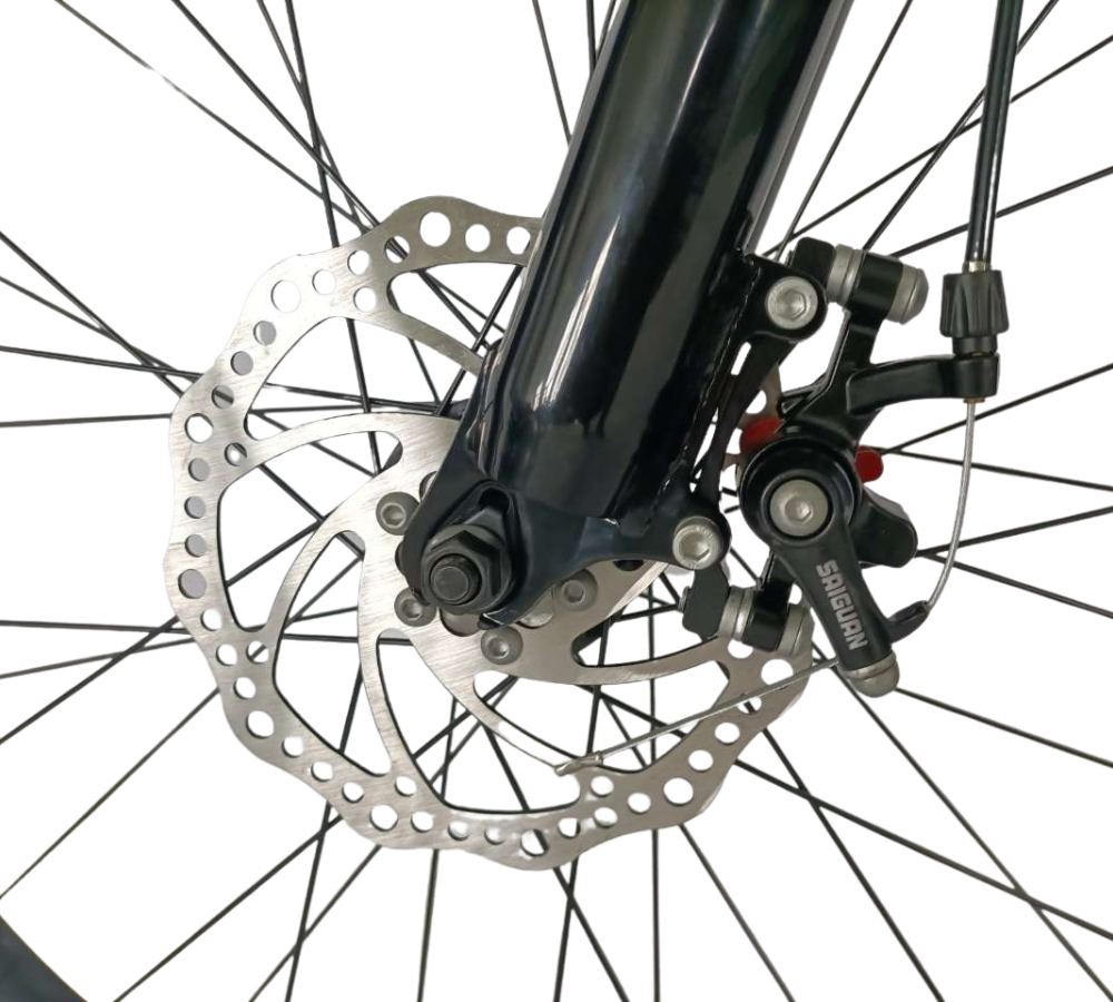 Fat Tire Bike
