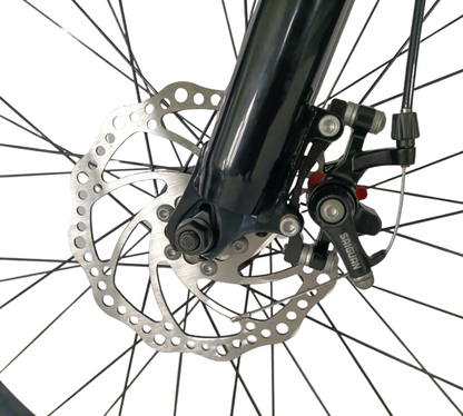 Fat Tire Bike